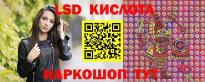 прущие крисы Аргун