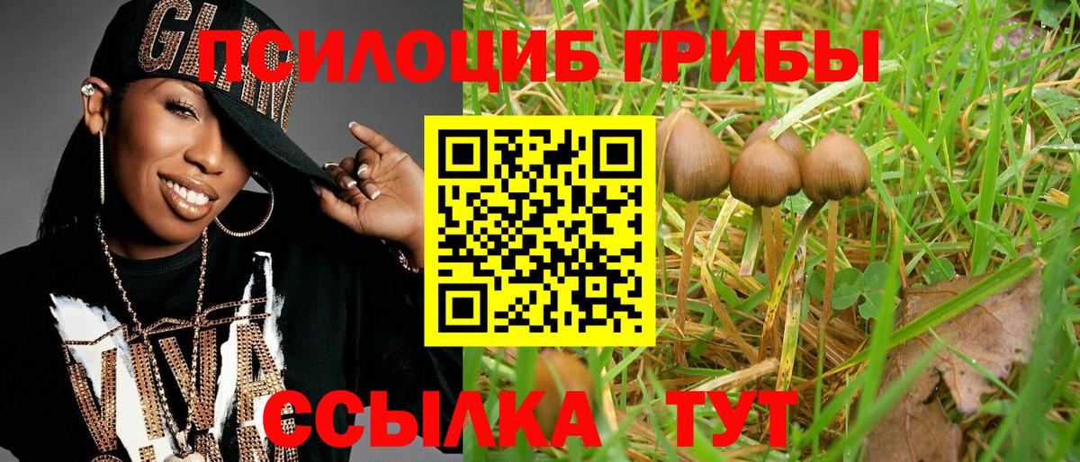 Верхняя Салда  Псилоцибиновые грибы Magic Shrooms  Вход с VPN  Псилоцибиновые грибы Psilocybe 